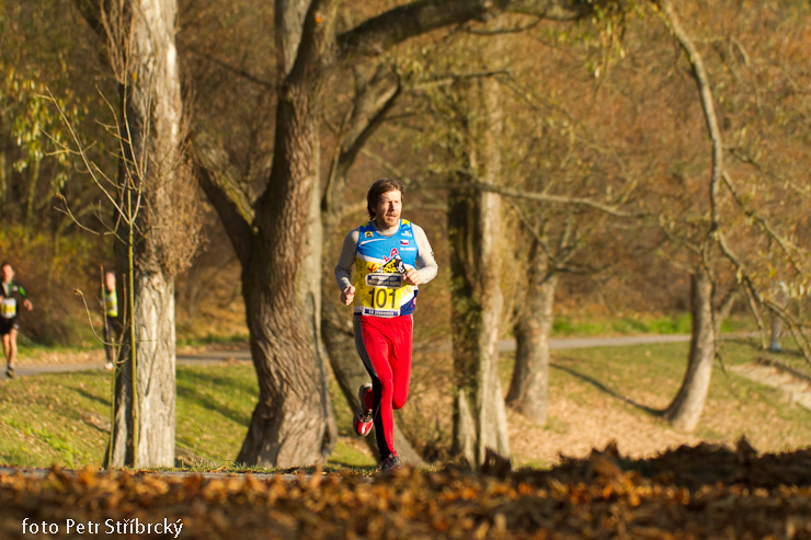 Fotografie číslo: 20111112-5039