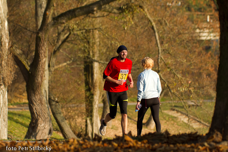 Fotografie číslo: 20111112-5066