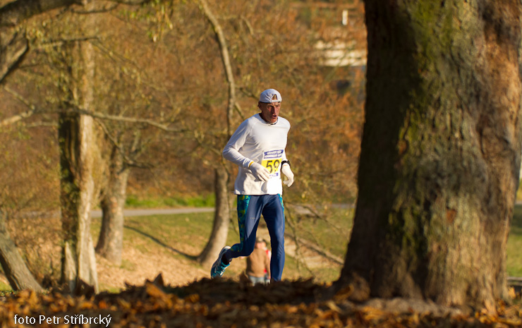 Fotografie číslo: 20111112-5094