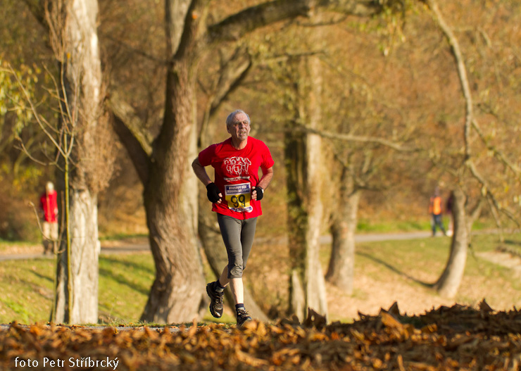 Fotografie číslo: 20111112-5112