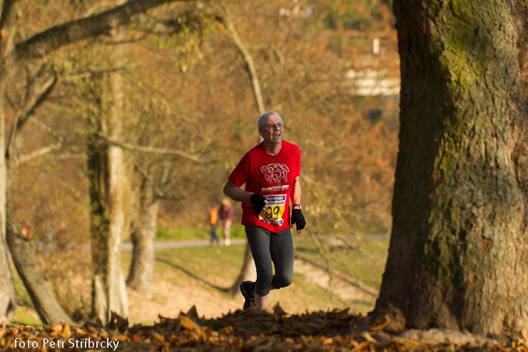 Fotografie číslo: 20111112-5113