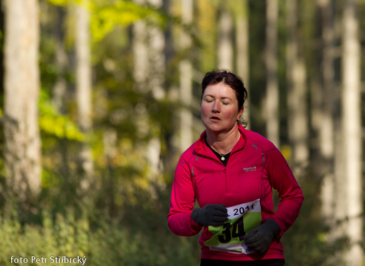 Fotografie číslo: 20111022-3493