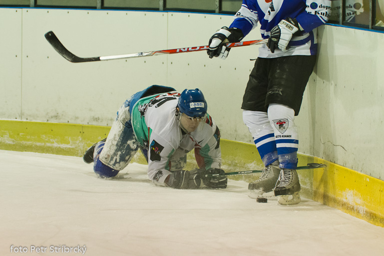Fotografie číslo: 20120304-2199