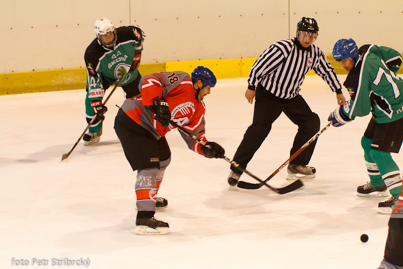 Fotografie číslo: 20130310-9950