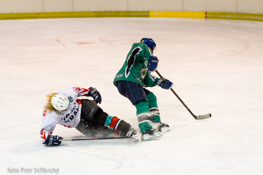Fotografie číslo: 20140314-5143