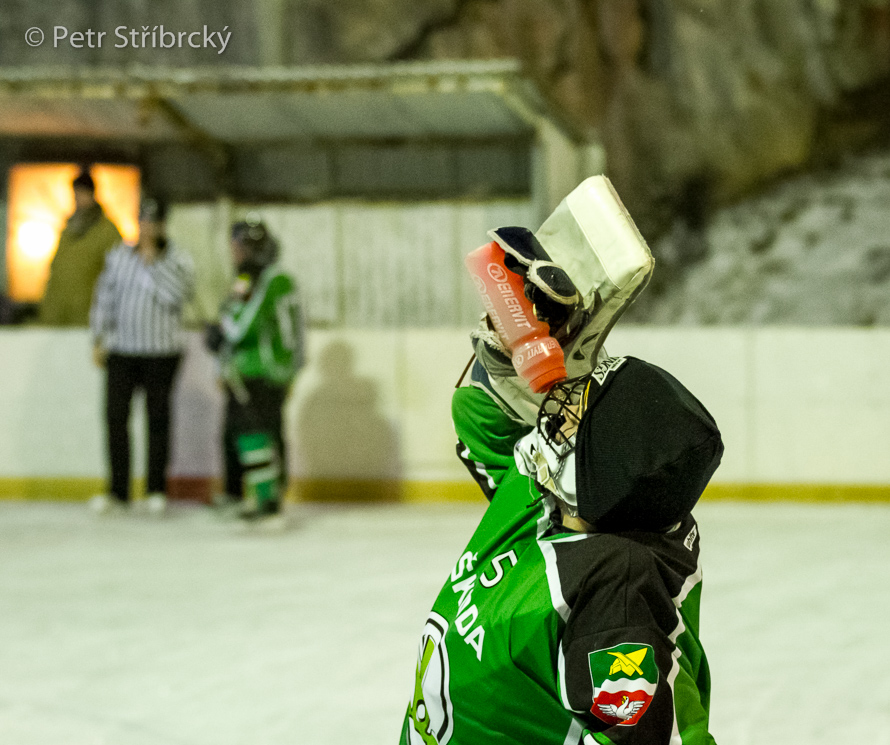 Fotografie číslo: 20160121-3446