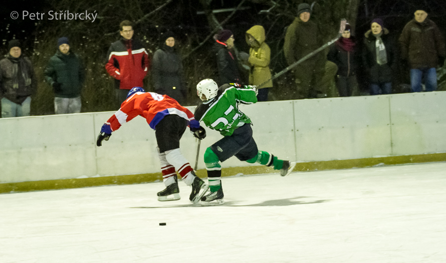 Fotografie číslo: 20160121-3669