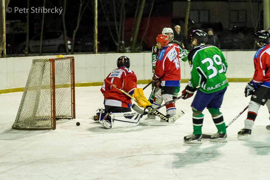 Fotografie číslo: 20160121-3698