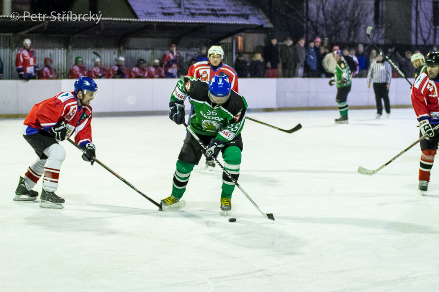 Fotografie číslo: 20160121-3715