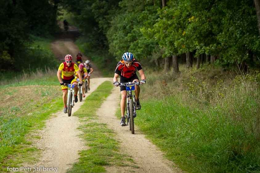 Fotografie číslo: 20140920-7575