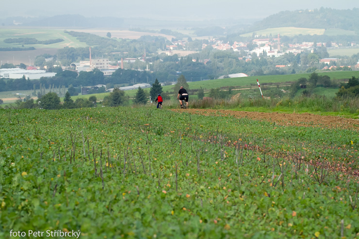 Fotografie číslo: 20140920-6560