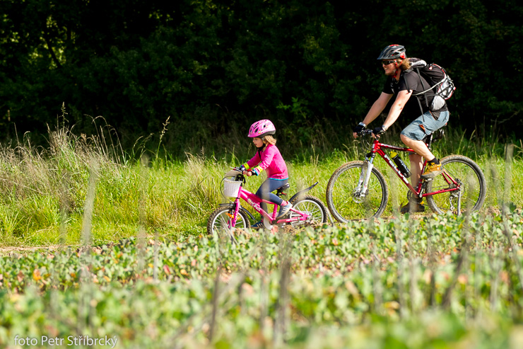 Fotografie číslo: 20140920-6593