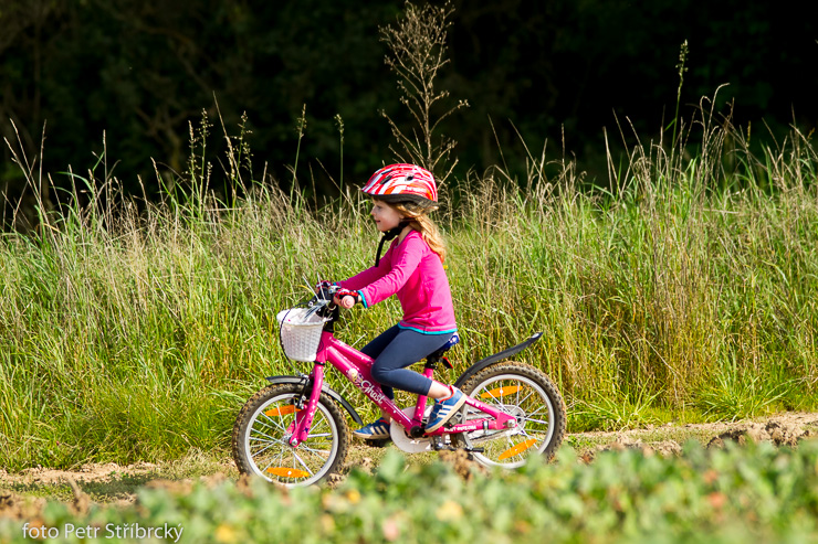 Fotografie číslo: 20140920-6596