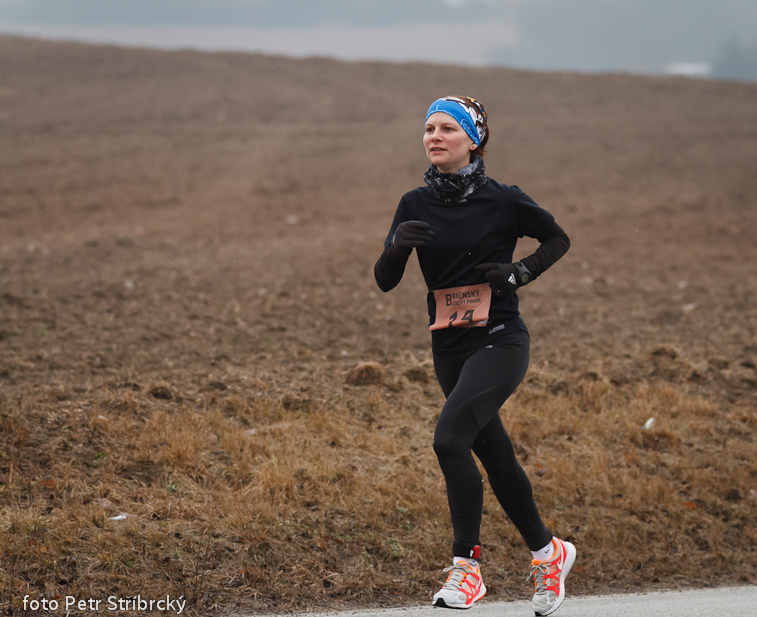 Fotografie číslo: 20130202-8114