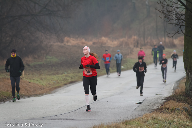 Fotografie číslo: 20130202-8120