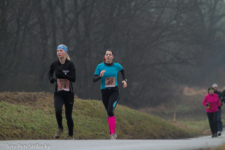 Fotografie číslo: 20130202-8124