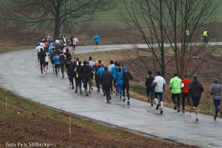 Fotografie číslo: 20130202-8216