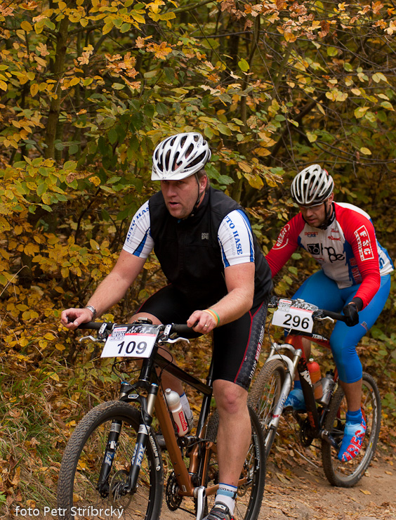Fotografie číslo: 20101017-1620