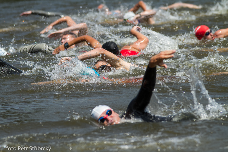 Fotografie číslo: 20150718-5248